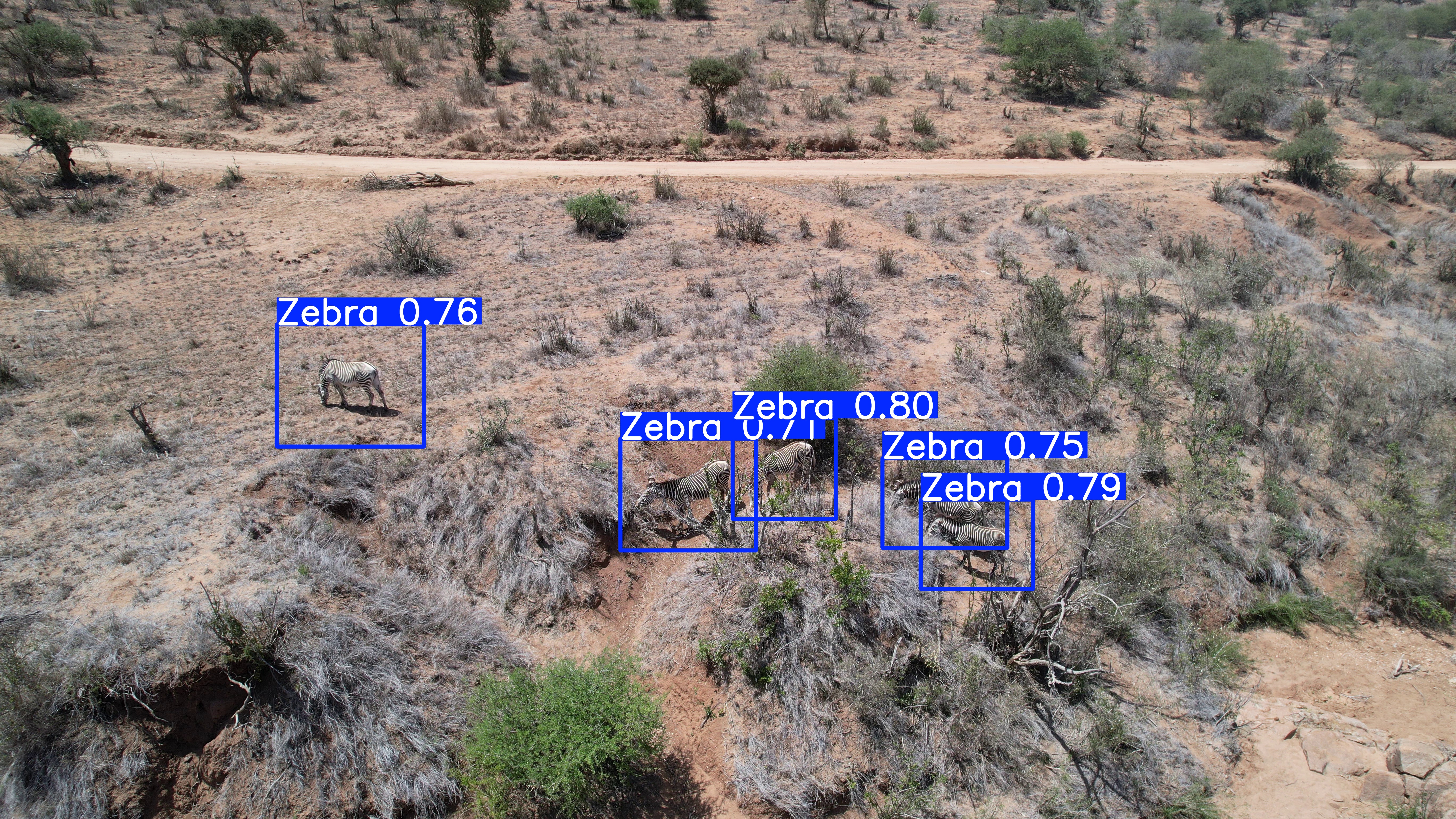 Aerial view of landscape with data analysis overlays